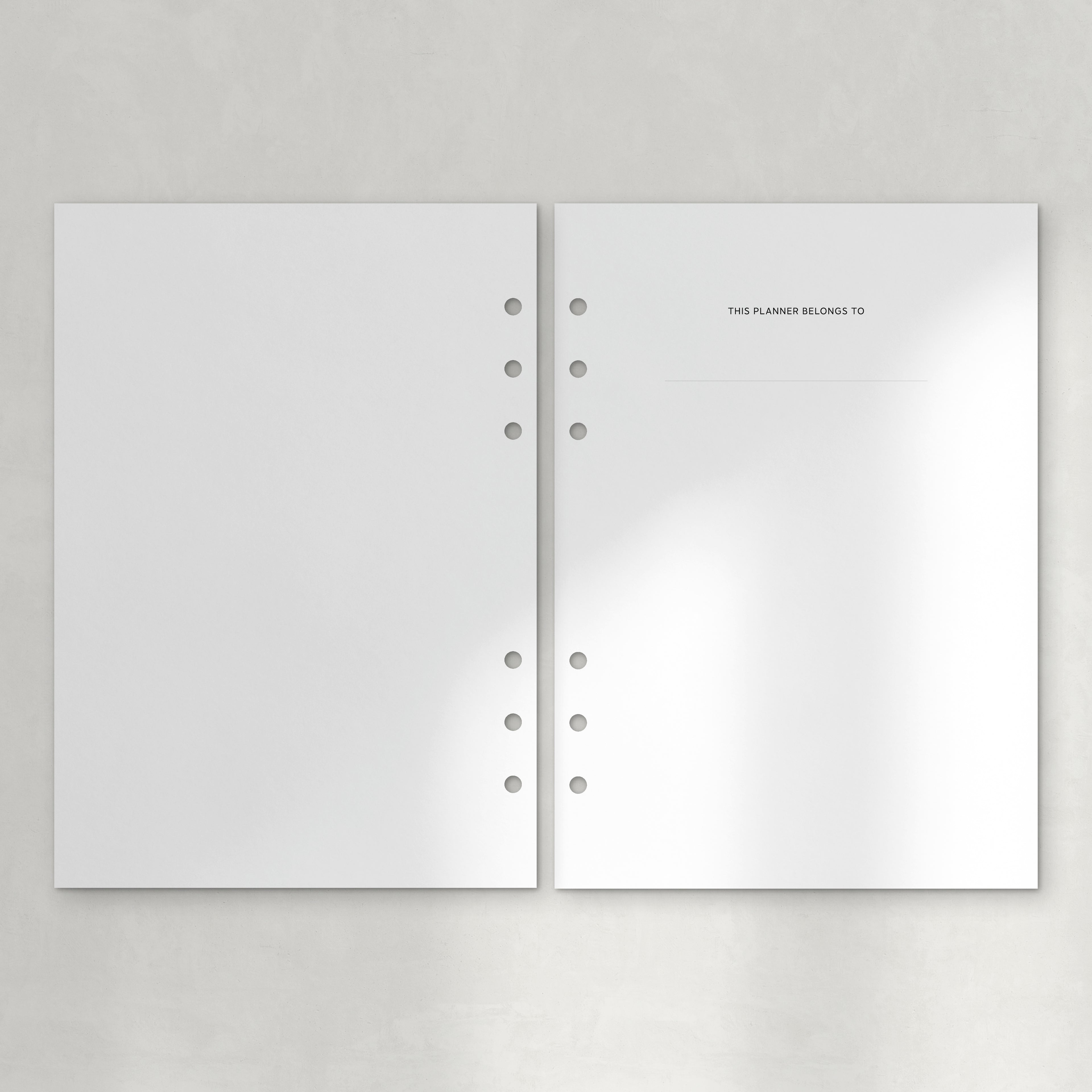 L'agenda 2025 : The Complete Planner - PDF