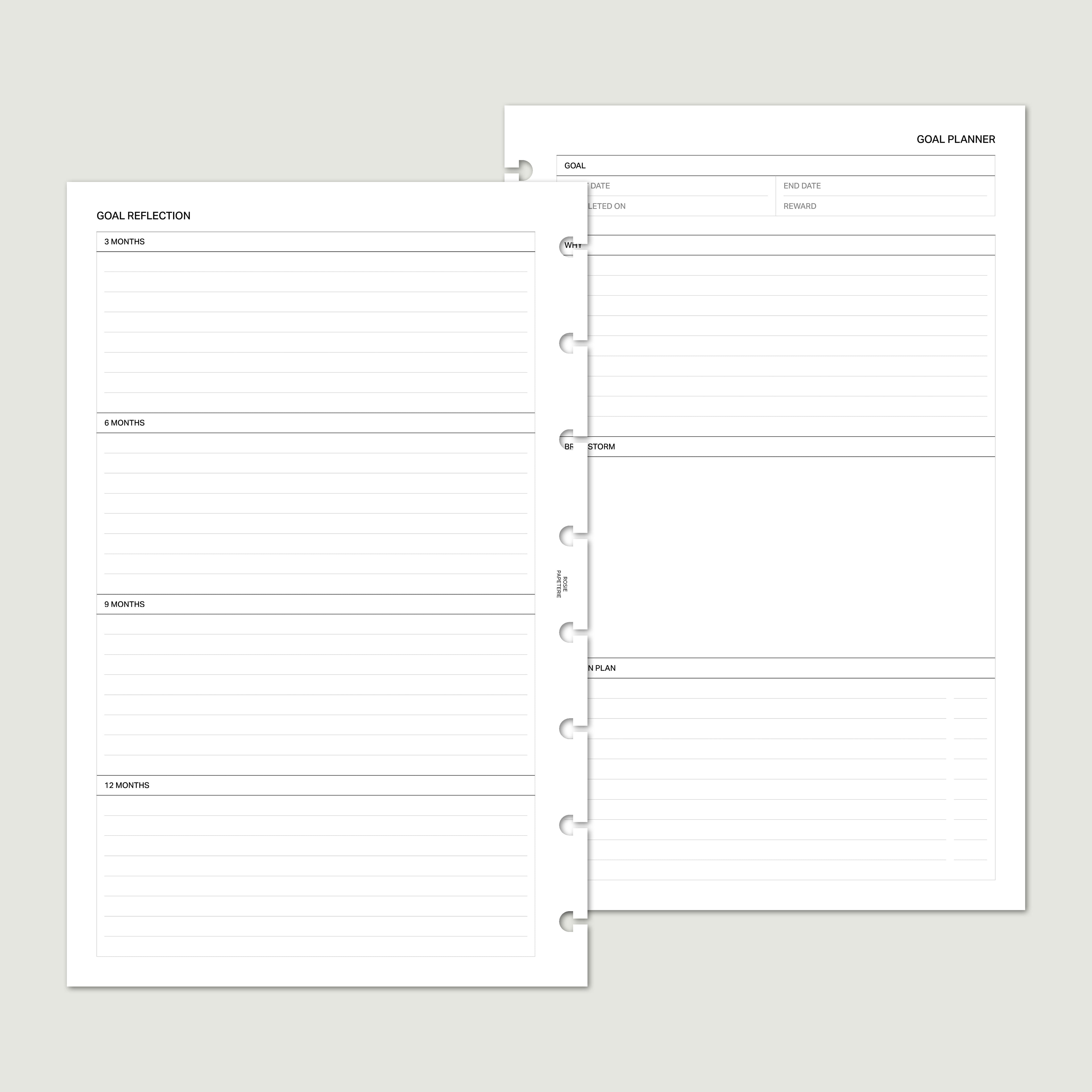 Goals & Reflections - PDF