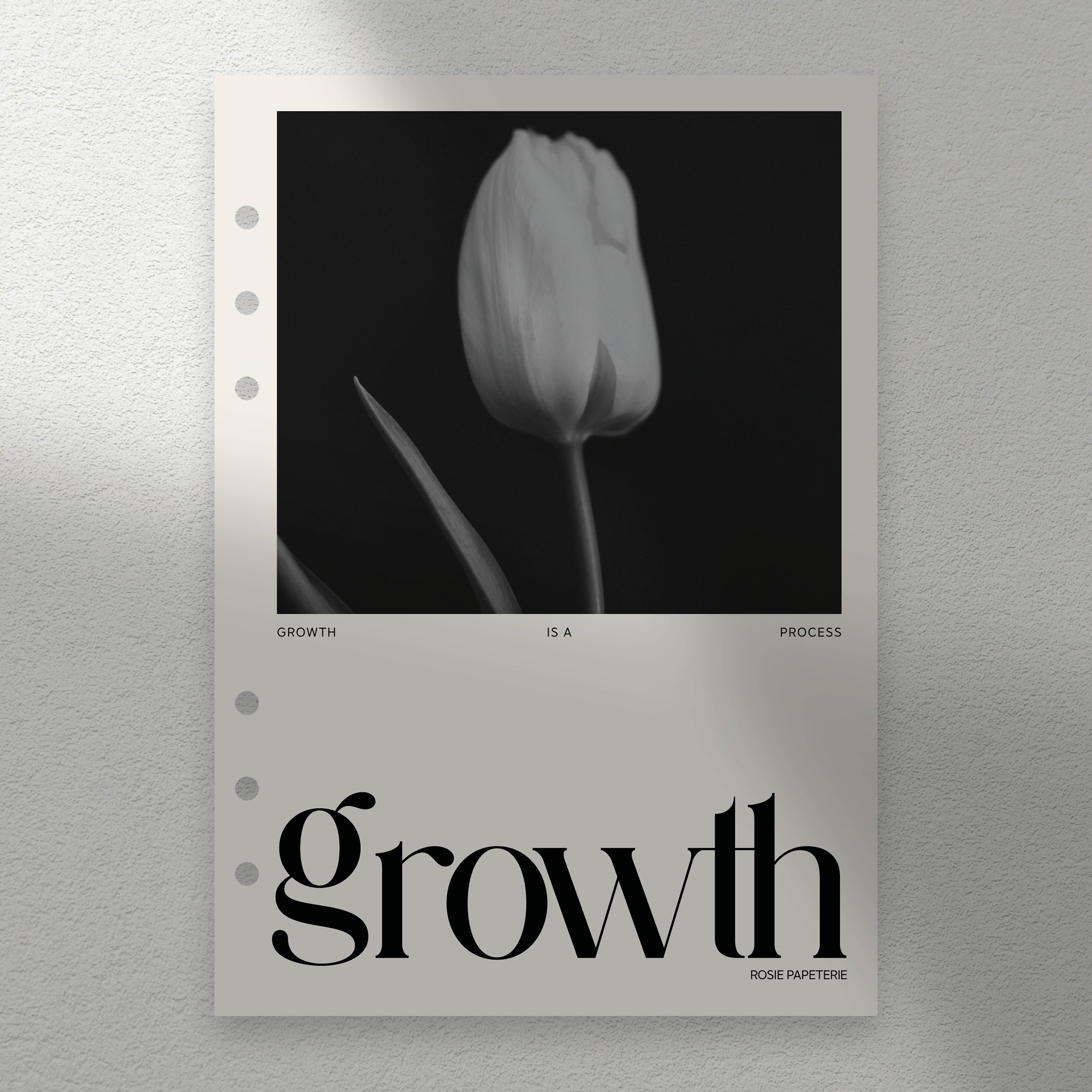 Growth Dashboard