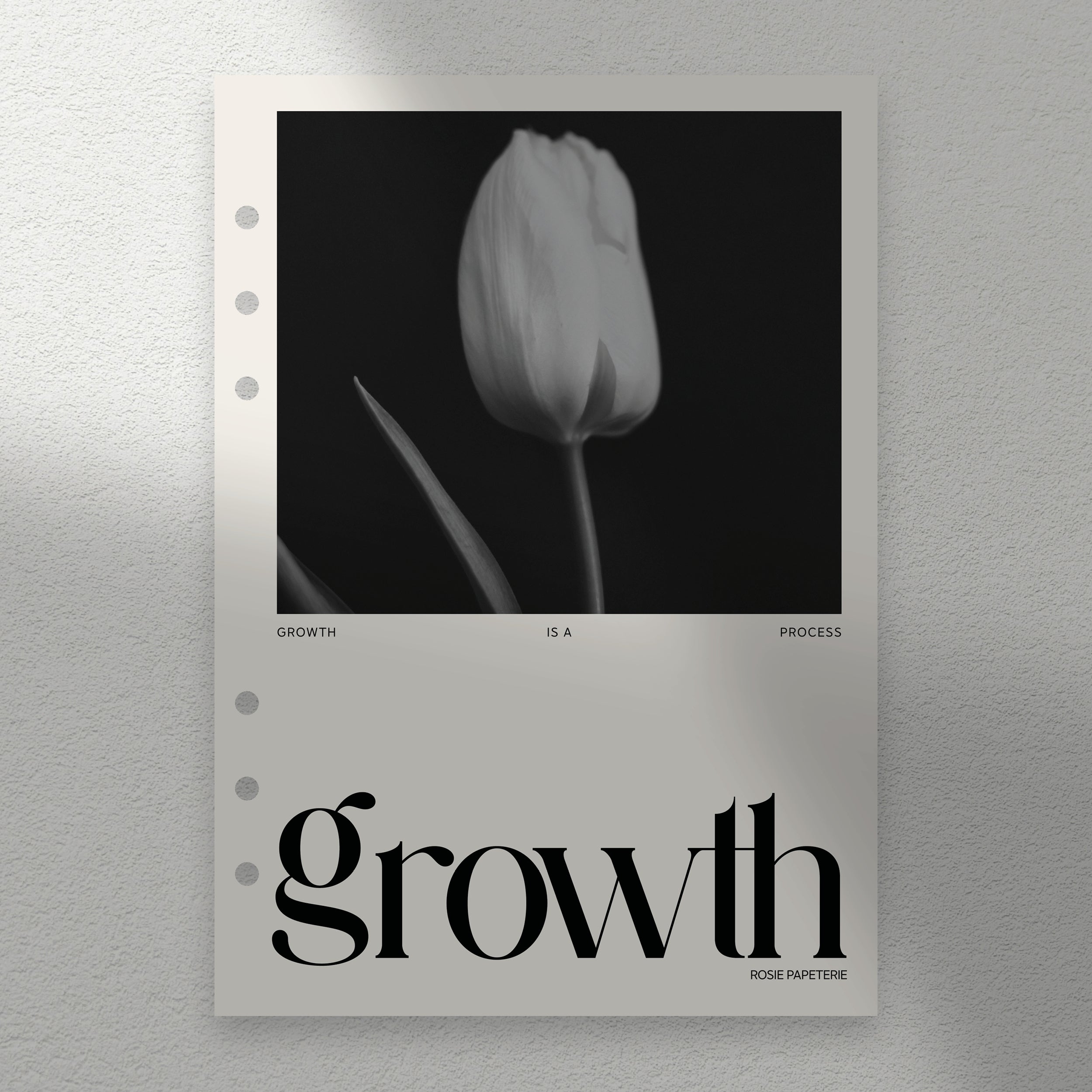 Tableau de Bord Growth