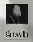 Growth Dashboard