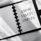 Amor Vincit Omnia Dashboard