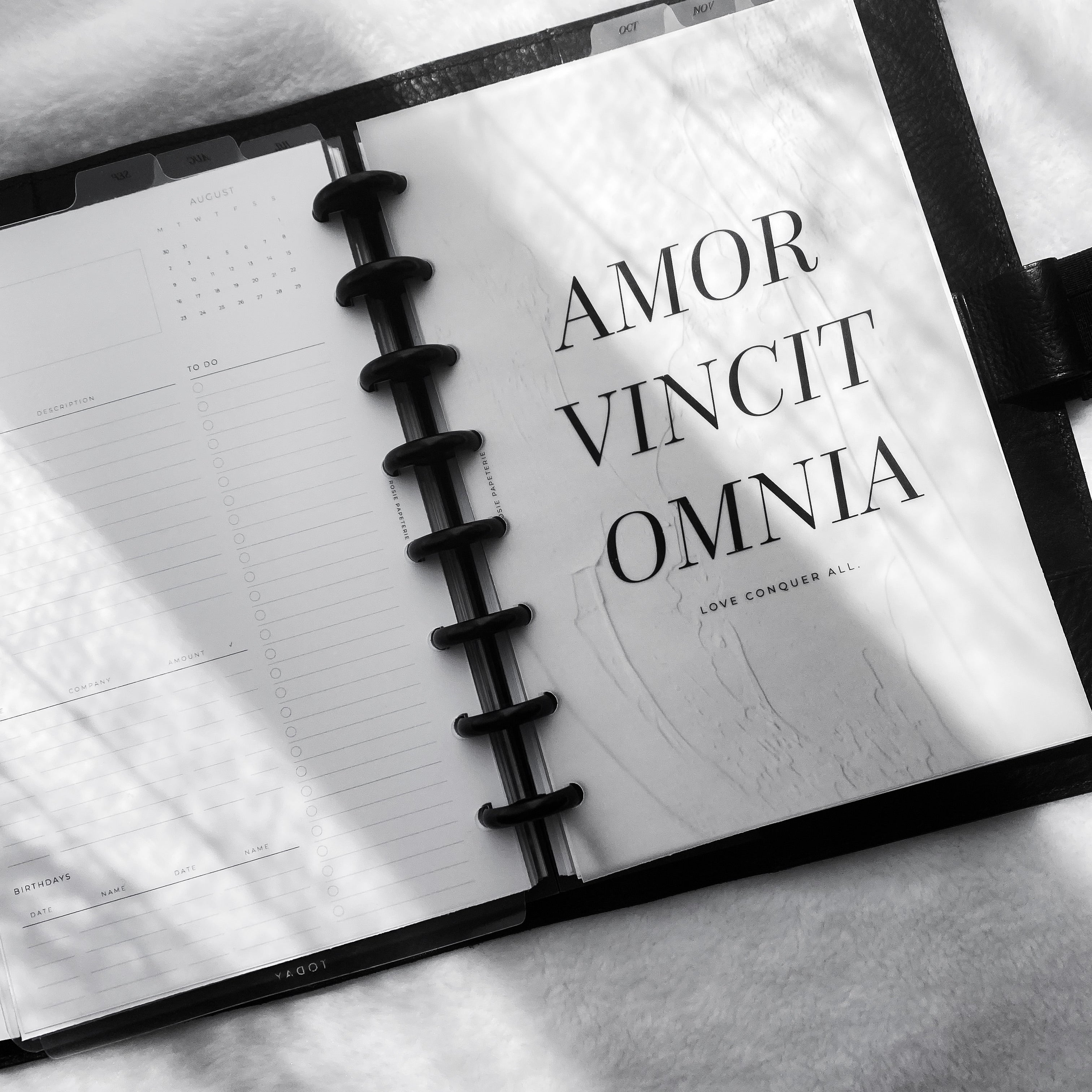 Amor Vincit Omnia Dashboard